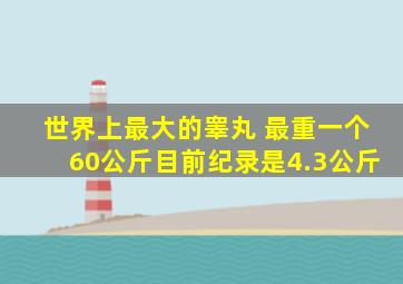 世界上最大的睾丸 最重一个60公斤目前纪录是4.3公斤